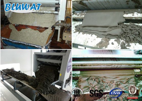 ซื้อ กากตะกอน Dewatering Cationic Polyacrylamide CPAM Blufloc SGS BV ได้รับการรับรอง การผลิตออนไลน์
