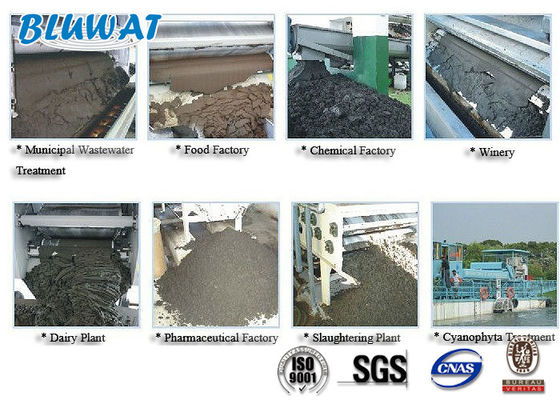 ซื้อ โพลีอะคริลาไมด์ Cationic ผงสีขาวสำหรับการบำบัดน้ำเสียจากตะกอน การผลิตออนไลน์