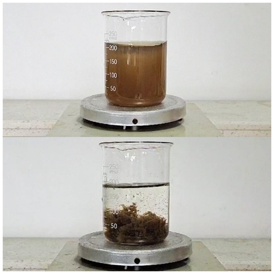 สารเคมีกำจัดสีเนื้อหาที่เป็นของแข็ง 50 - 55% สำหรับน้ำเสียแปรรูปอาหารเห็ด