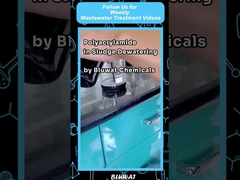 Polyacrylamide PAM Flocculant สําหรับการหนาและการกําจัดน้ําจากโคลน