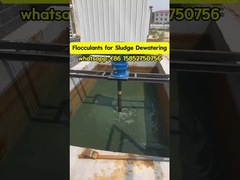 Polyacrylamide Flocculant Polyelectrolyte การบําบัดน้ํา