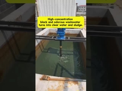 การเปลี่ยนน้ําเสียที่มีกลิ่นดํา ให้กลายเป็นน้ําใส